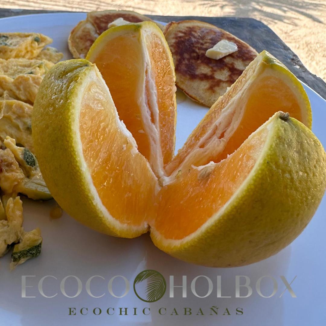 Ecoco Holbox - Ecochic - Cabanas De Madera - Holbox Retreat Esterno foto